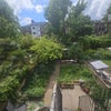 Photo 3: Amazing shared garden!