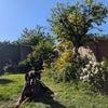 Photo 4: Ben in the garden