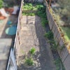 Photo 3: Garden