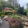 Photo 7: Garden 