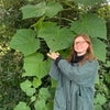 Photo 8: I love big leaves and I cannot lie