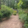 Photo 7: Garden
