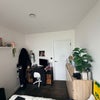 Photo 3: Bedroom