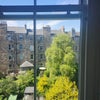 Photo 2: Garden view from Room 2