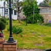 Photo 8: Garden