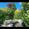 Photo 3: Garden