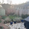 Photo 7: Back garden