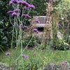 Photo 8: Garden