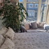 Photo 2: Sofa