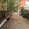 Photo 4: Backyard