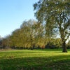 Photo 11: North Millfield Recreational Grounds
