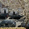 Photo 6: View from the window