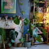 Photo 4: Living room