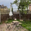 Photo 5: Garden