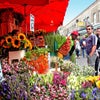 Photo 12: Colombia Road Flower Market