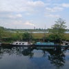Photo 3: View of River Lea