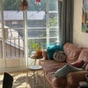 Photo 6: Living room