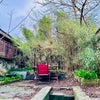 Photo 3: Backyard