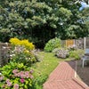 Photo 8: Back garden