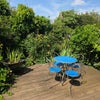 Photo 5: Private garden