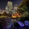 Photo 3: Garden