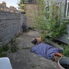 Photo 6: Garden