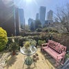 Photo 8: Garden