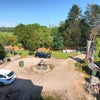 Photo 5: View out of the main window