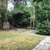 Photo 6: Garden