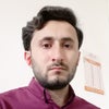 Photograph of Syed Ibrar