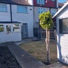 Photo 9: Garden