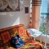 Photo 4: Living