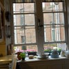 Photo 4: Kitchen Window