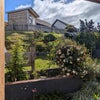 Photo 9: Back garden 