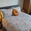 Photo 4: Bedroom