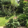 Photo 9: Graden view