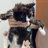 Photo 5: bath time