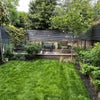 Photo 7: Garden