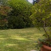 Photo 8: Large garden beyond patio