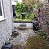 Photo 8: Backyard