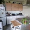 Photo 7: Open plan kitchen