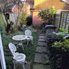 Photo 4: Garden