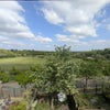 Photo 3: Best view over Campbell park 
