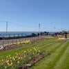 Photo 17: A 2 minutes walk to enjoy the seafront