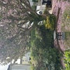 Photograph of Avani