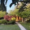 Photo 7: garden room