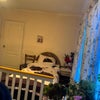 Photo 3: Room for rent