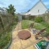 Photo 5: Garden