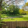 Photo 8: Garden and park