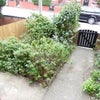 Photo 8: Front Entrance